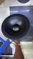 Derwel 15DE 600 Midrange Naked Speakers - 2