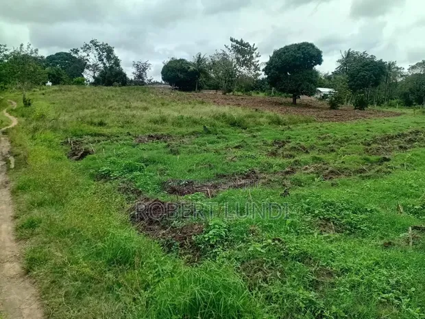 Eneo la Eka Mbili kwa Ajili ya Kuuzwa Mtepeni - 1