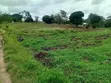 Eneo la Eka Mbili kwa Ajili ya Kuuzwa Mtepeni - 1