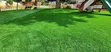 Turf Grass 25mm - 2