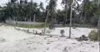 Prime 1 Acre Beachfront Land for Sale, Nyali Mombasa - 3
