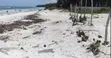 Prime 1 Acre Beachfront Land for Sale, Nyali Mombasa - 4