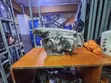 Isuzu D-Max 2012 Headlight (Used) - 2