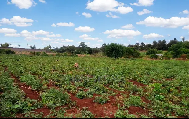 10 Acres Prime Agricultural Land in Gathigiriri, Mwea - 1