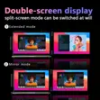 Portable Dual-Screen Laptop Monitor - 1