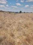 Affordable Residential Land for Sale in Kitengela - 1
