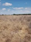 Affordable Residential Land for Sale in Kitengela - 4