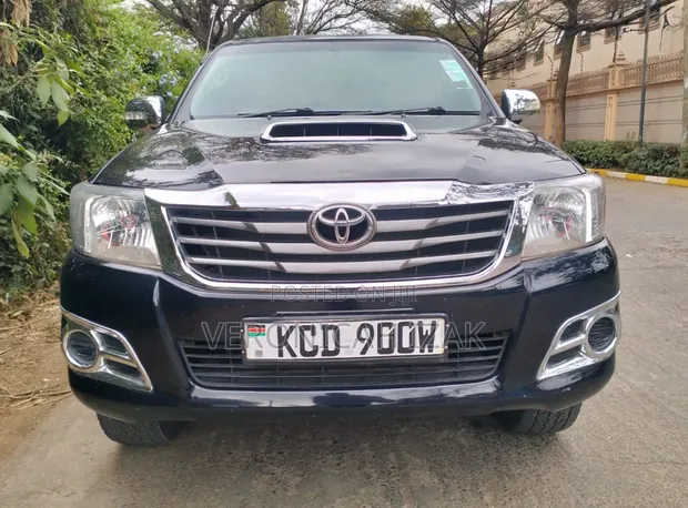 Toyota Hilux Double Cabin 2009 - 1