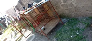 Steel Dog Kennel
