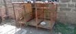 Steel Dog Kennel - 3