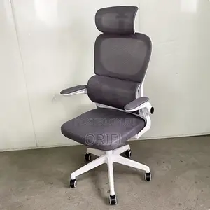 Modern Ergonomic Mesh High Back Office Chair