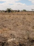 Kitengela KAG Plots - 920k - 1