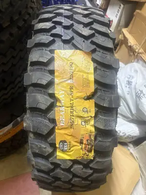 285/75R16 Bearway Tyre