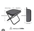 Portable Foldable Stool in Bag - 3