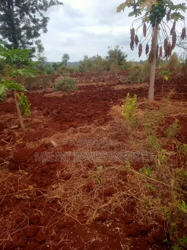 2.6 Acres Land for Sale in Maragua, Murang'a - 1