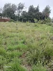 50x100 Plots for Sale - Rangau, Ongata Rongai - 2