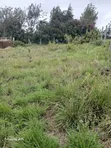 50x100 Plots for Sale - Rangau, Ongata Rongai - 5