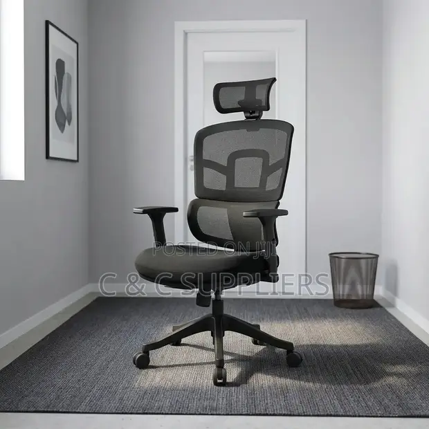 Orthopedic Mesh Office Chair with Adjustable Arms - 1
