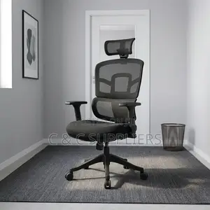 Orthopedic Mesh Office Chair with Adjustable Arms