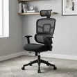 Orthopedic Mesh Office Chair with Adjustable Arms - 2