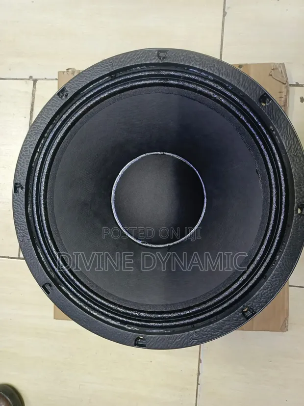 New Retone 12-Inch Speaker - 1