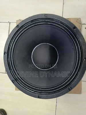 New Retone 12-Inch Speaker
