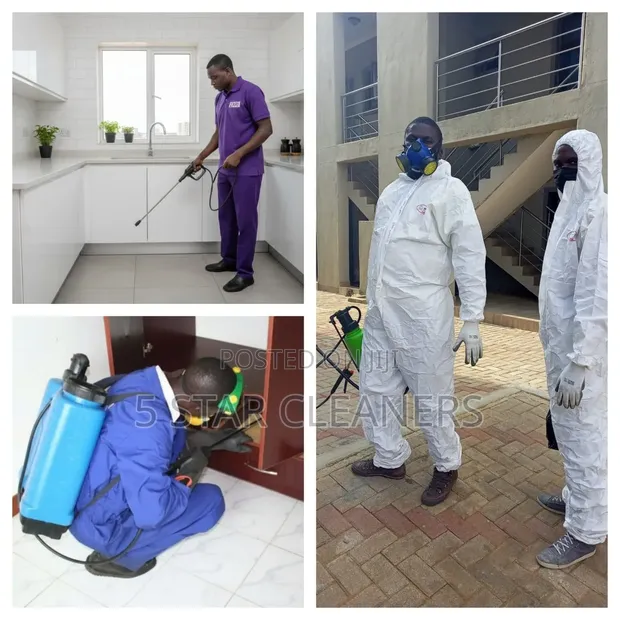 One-Time Household Pest Fumigation Services - 1