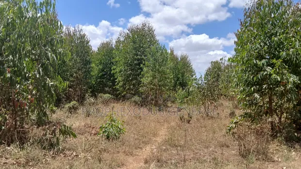 5 Acres Residential Land for Sale in Tuala, Rongai - 1
