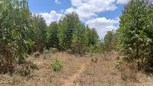 5 Acres Residential Land for Sale in Tuala, Rongai