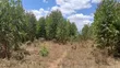 5 Acres Residential Land for Sale in Tuala, Rongai - 1