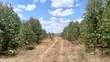 5 Acres Residential Land for Sale in Tuala, Rongai - 2