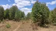5 Acres Residential Land for Sale in Tuala, Rongai - 3