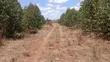 5 Acres Residential Land for Sale in Tuala, Rongai - 4