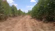 5 Acres Residential Land for Sale in Tuala, Rongai - 5