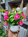 Larger Size Decorative Flowers - Brand New - 2