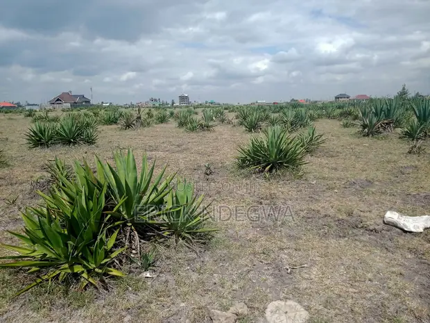 0.125 Acre Plot for Sale along Juja Road - 1