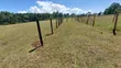 1 Acre Land for Sale in Kitale - 3