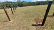 1 Acre Land for Sale in Kitale - 5