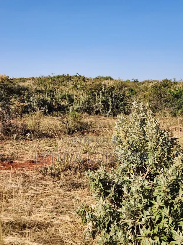 15 Acres Land for Sale in Ngong-Kimuka - 1
