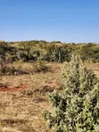 15 Acres Land for Sale in Ngong-Kimuka - 1