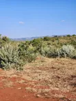 15 Acres Land for Sale in Ngong-Kimuka - 5