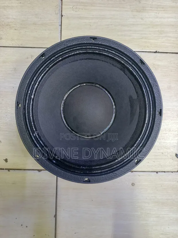 New Retone 10-Inch Speaker - 1