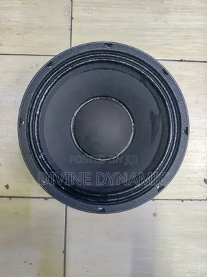 New Retone 10-Inch Speaker