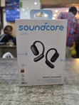 Aerofit 2 AI Assistant Open Ear True Wireless Earbuds with AI Translation - 2