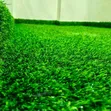 Artificial Green Grass Carpet Balcony - 2