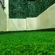 Carpet ya Nyasi Bandia ya Kijani kwa Balcony - 2