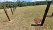 1 Acre Land for Sale in Trans Nzoia - 3
