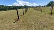 1 Acre Land for Sale in Trans Nzoia - 4