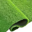 Quality Artificial Turf Carpet - 2