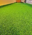 Artificial Grass Carpet - Mpya Kabisa - 2